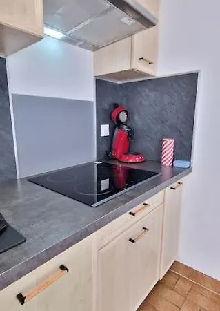 Maison Avec Exterieur Et Arrivee Autonome - * Aurillac