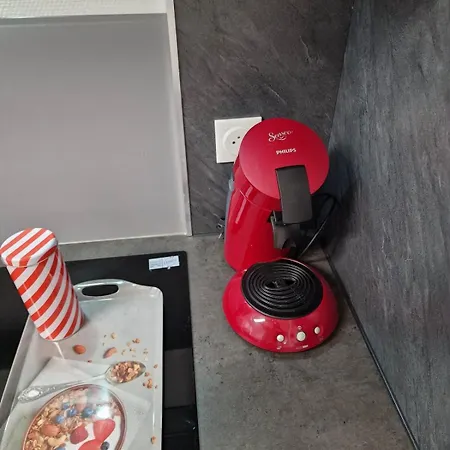 Daire Maison - Terrasse - Parking Prive - Aurillac